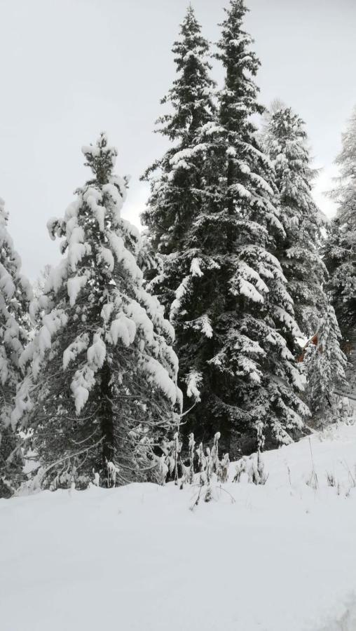 Appart ÖtztAlpin Längenfeld Exterior foto